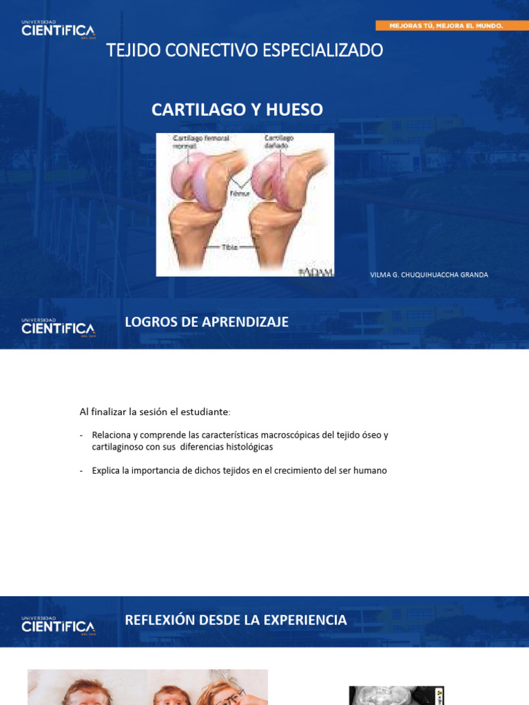 Cartilago y Hueso | PDF | Cartílago | Hueso