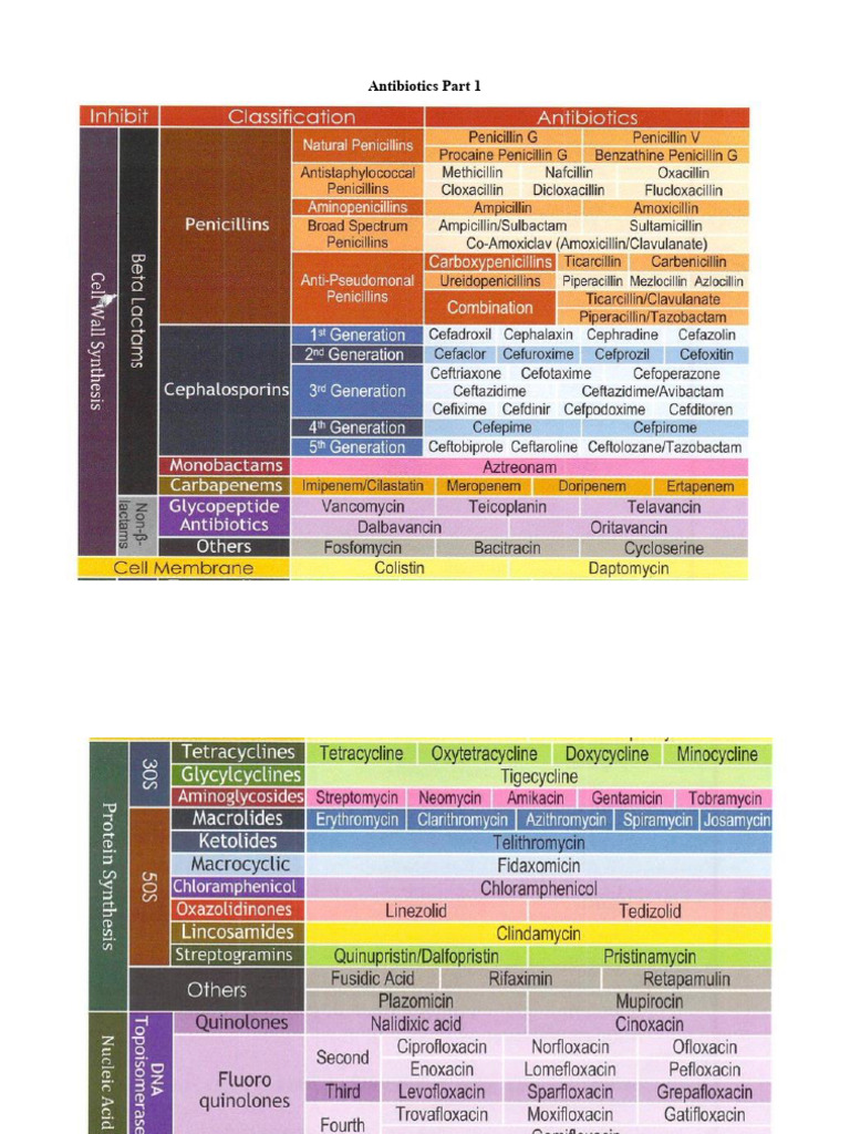 Antibiotics Part 1 PHD Sem 10 General | PDF | Clinical Medicine ...