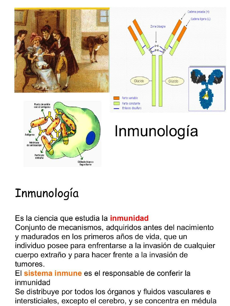 Tema 3 Inmunologia Pdf