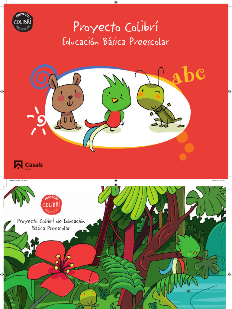 Proyecto Colibrí: Educación Preescolar | PDF | Educación de la primera ...