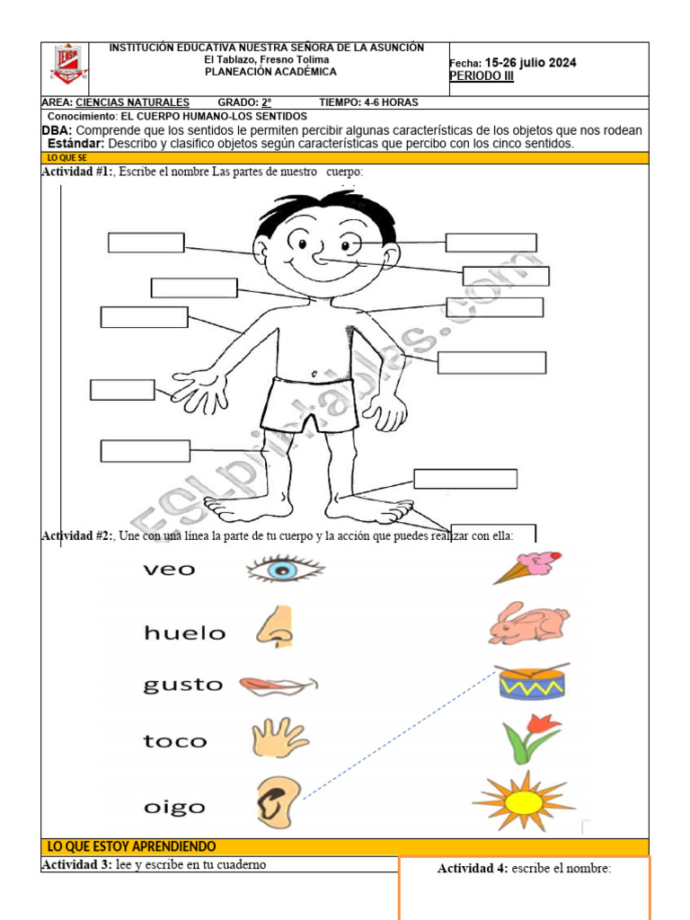 Los 5 Sentidos Para Tercero De Primaria Fichas Para Imprimir