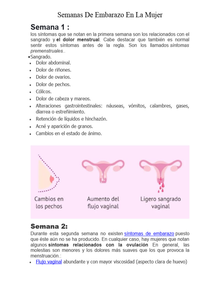 Hasta Cuántas Semanas Dura Un Embarazo A Practical Guide For Every Stage - g7qt3vp