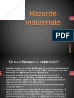 Hazarde Industriale