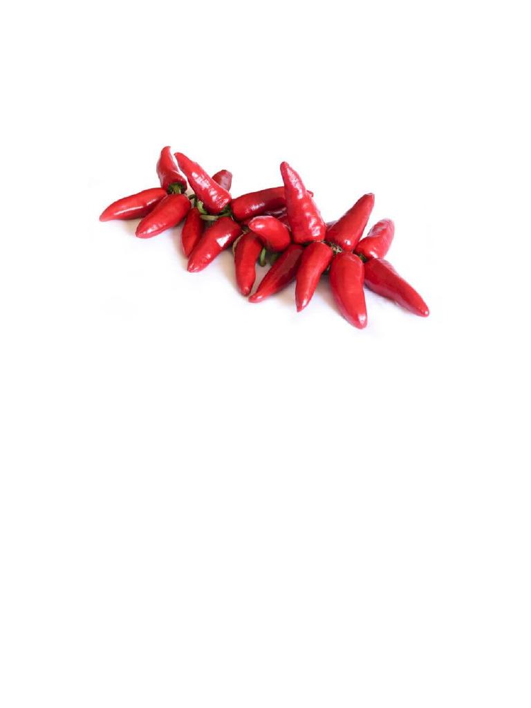 Chile | PDF