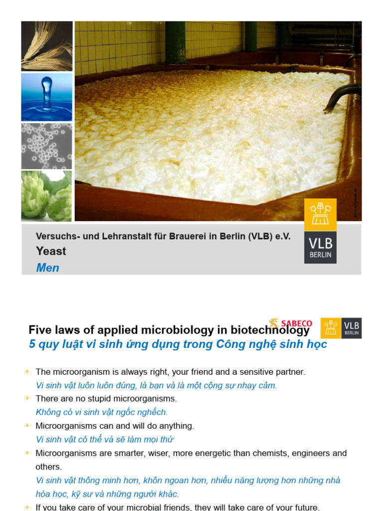 Using Confidential Live Yeast For Quail Gut Health