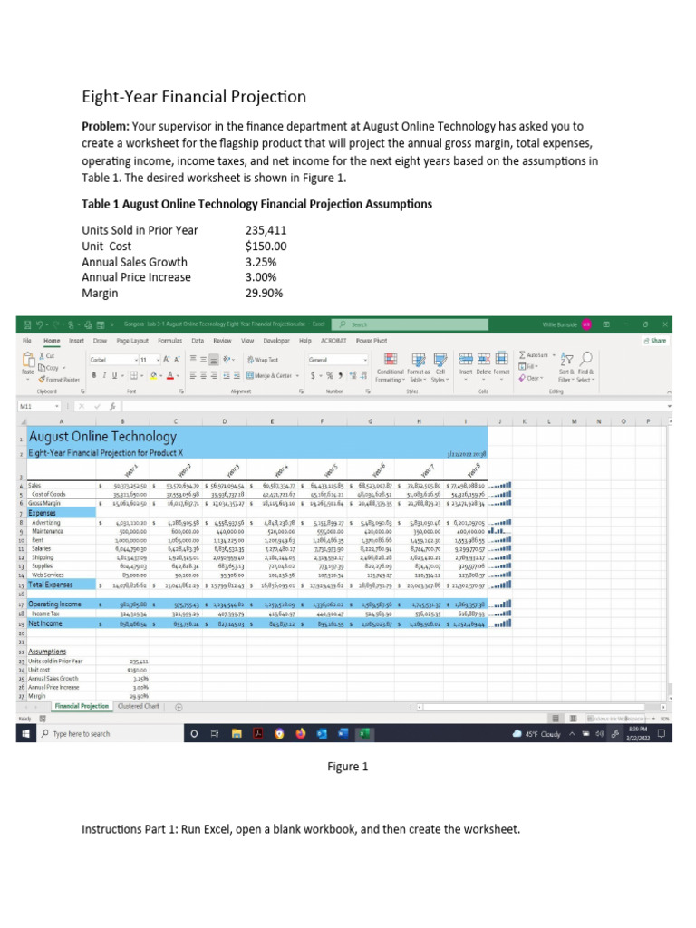 Eight Year Financial Projection | PDF | Worksheet