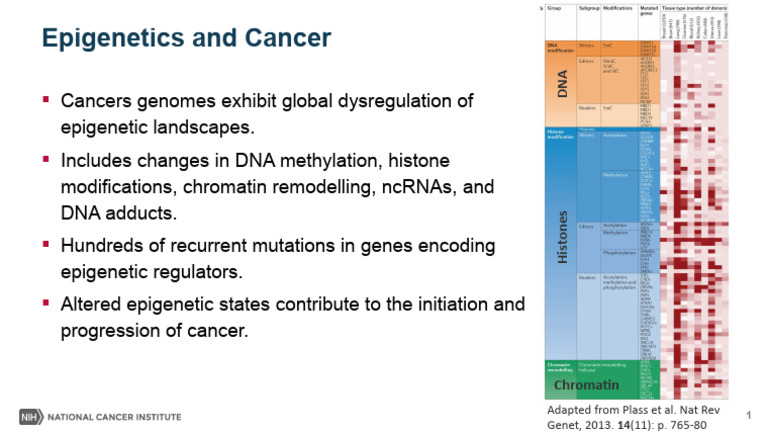 Epigenetic Changes in Cancer Development | PDF