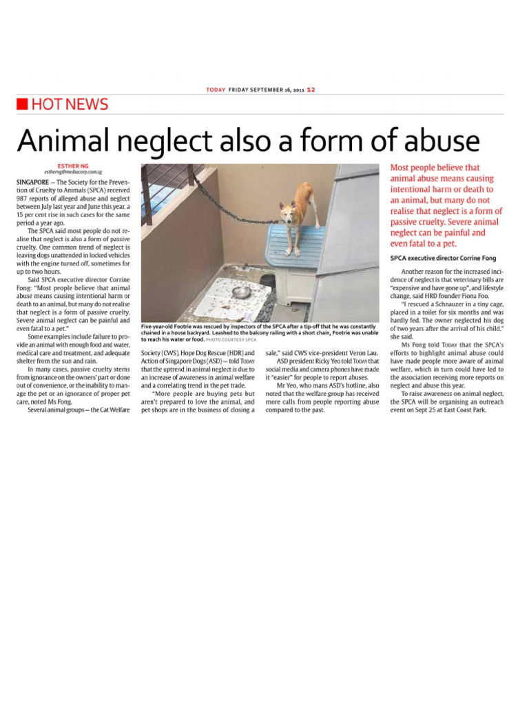 Pet Articles! | PDF