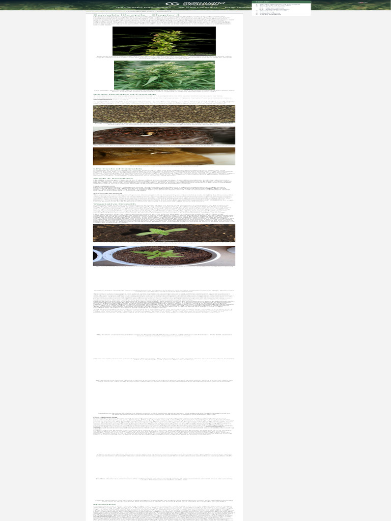 Understanding The Stages Of Cultivation And Essential Requirements For