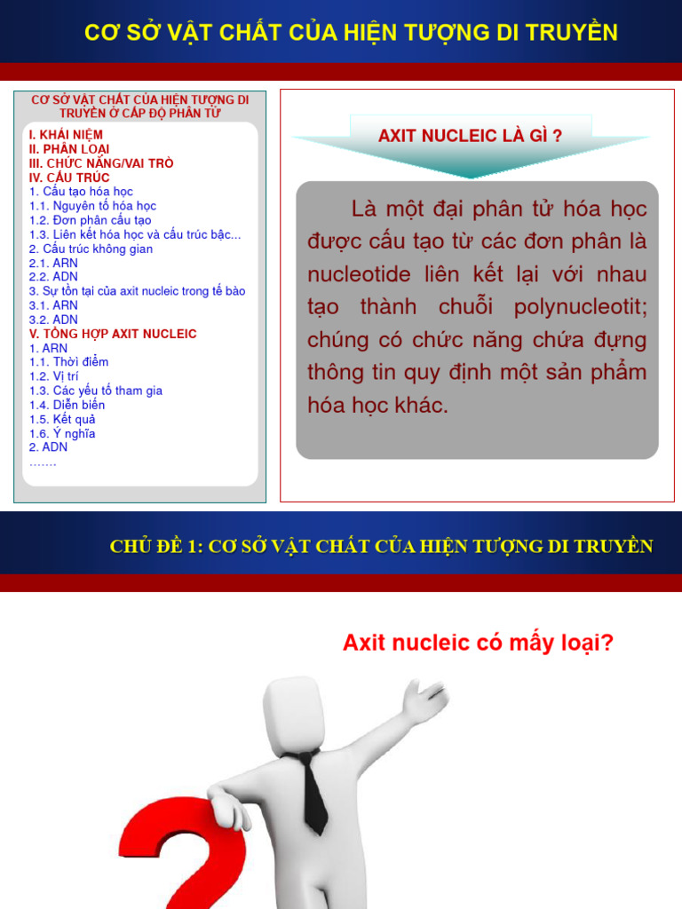 Chủ Đề 3 Bai Tap Co So Vat Chat Di Truyen Cap Do Phan Tu Va Protein | PDF