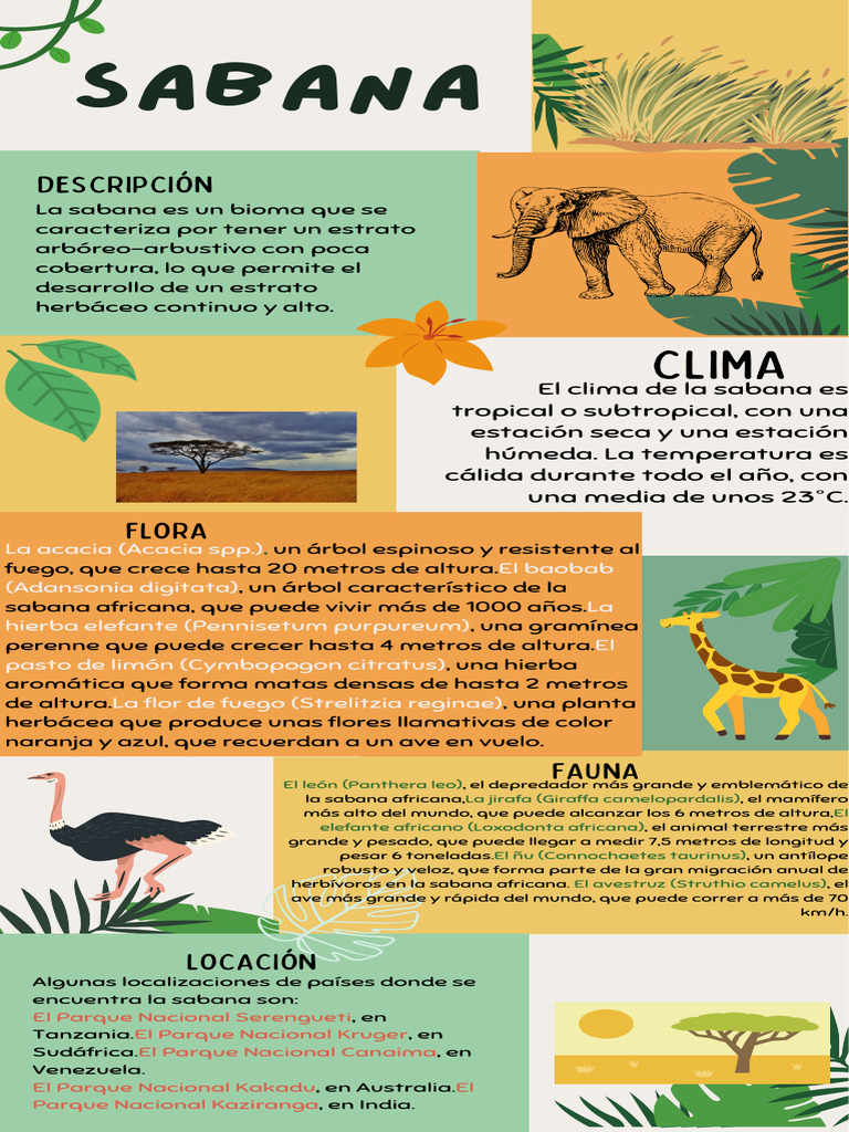 Características de la Sabana Africana | PDF | Sabana