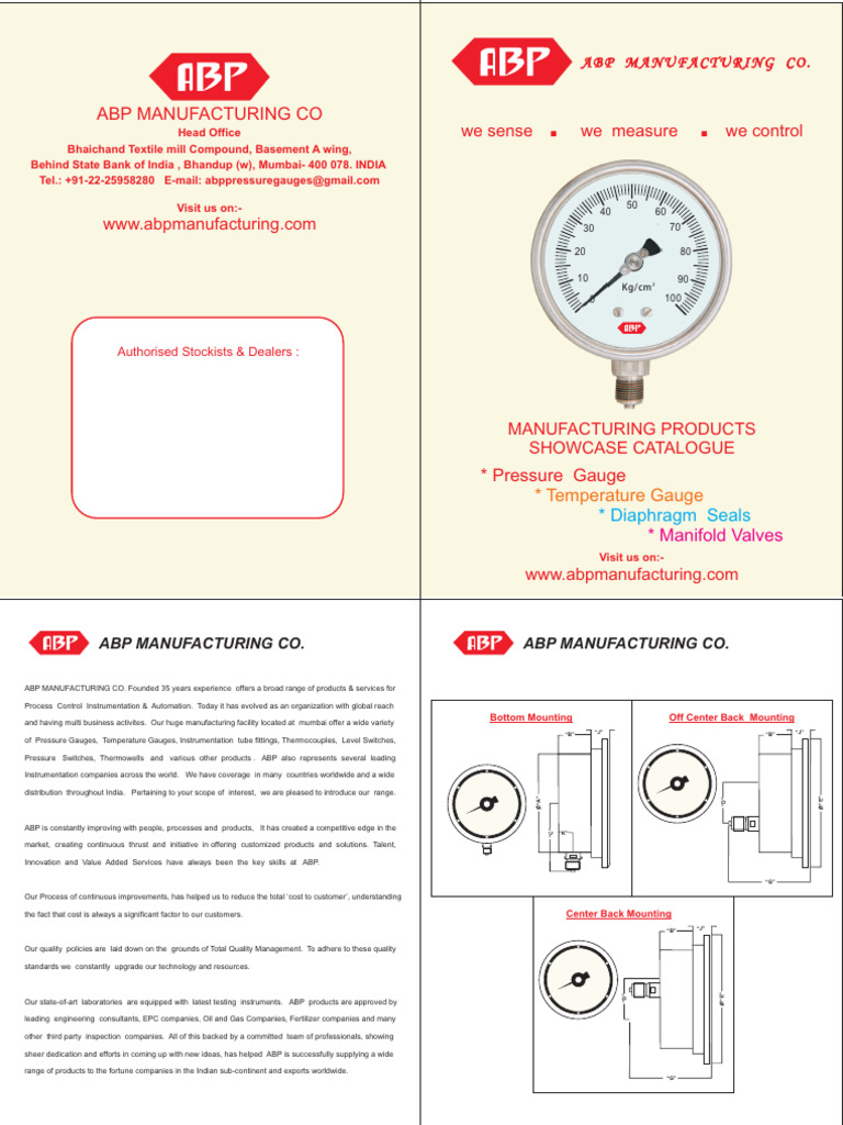 ABP Pressure Gauge Solutions | PDF | Stainless Steel | Valve