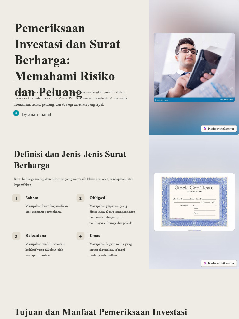 Pemeriksaan Investasi Dan Surat Berharga Memahami Risiko Dan Peluang PDF