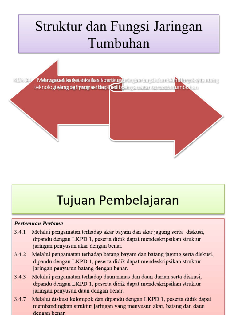 TUJUAN SLIDE PEMBL Struktur Dan Fungsi Jaringan Tumbuhan PERTEMUAN 1 | PDF