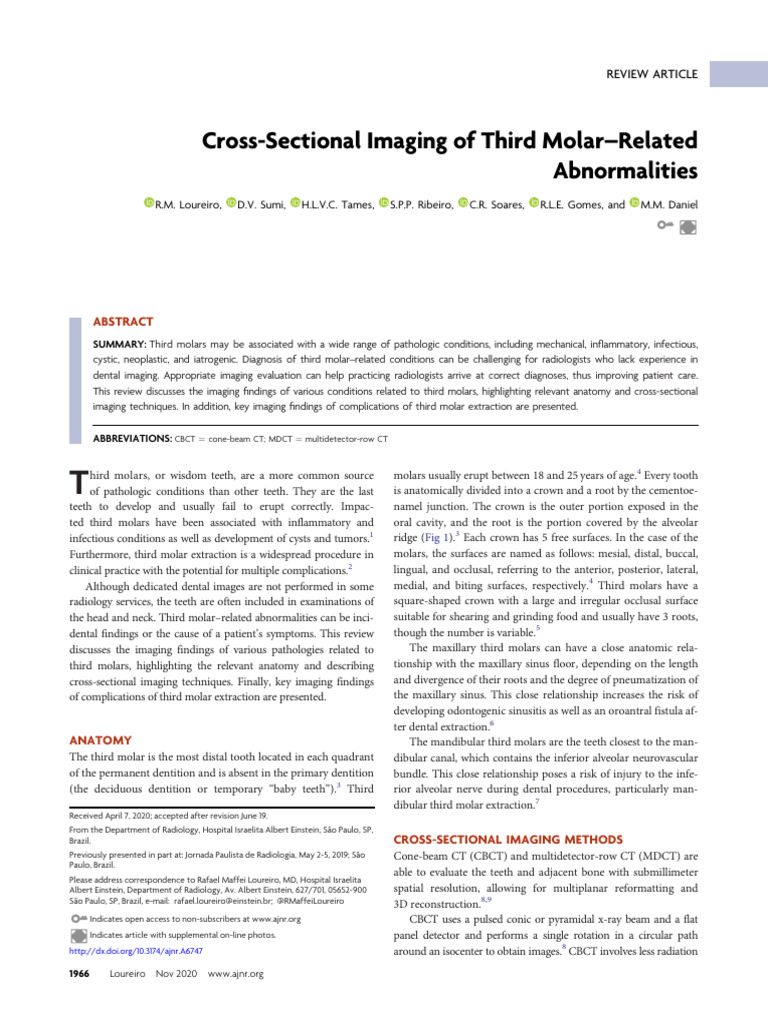 Anatomy Pdf Human Tooth Dentistry