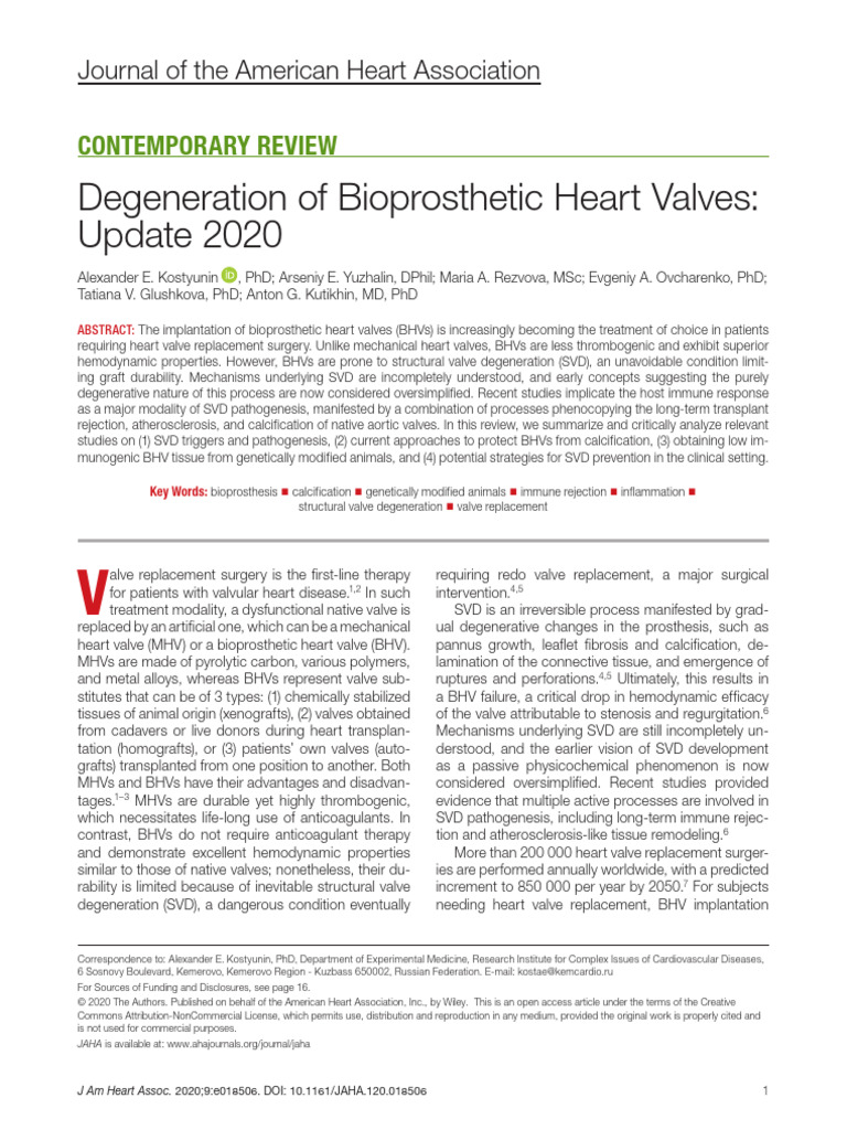 Bioprosthetic Heart Valve Degeneration Update | PDF | Extracellular ...