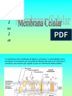 Membrana Celular - Biologia - 1º - 06/12/2011