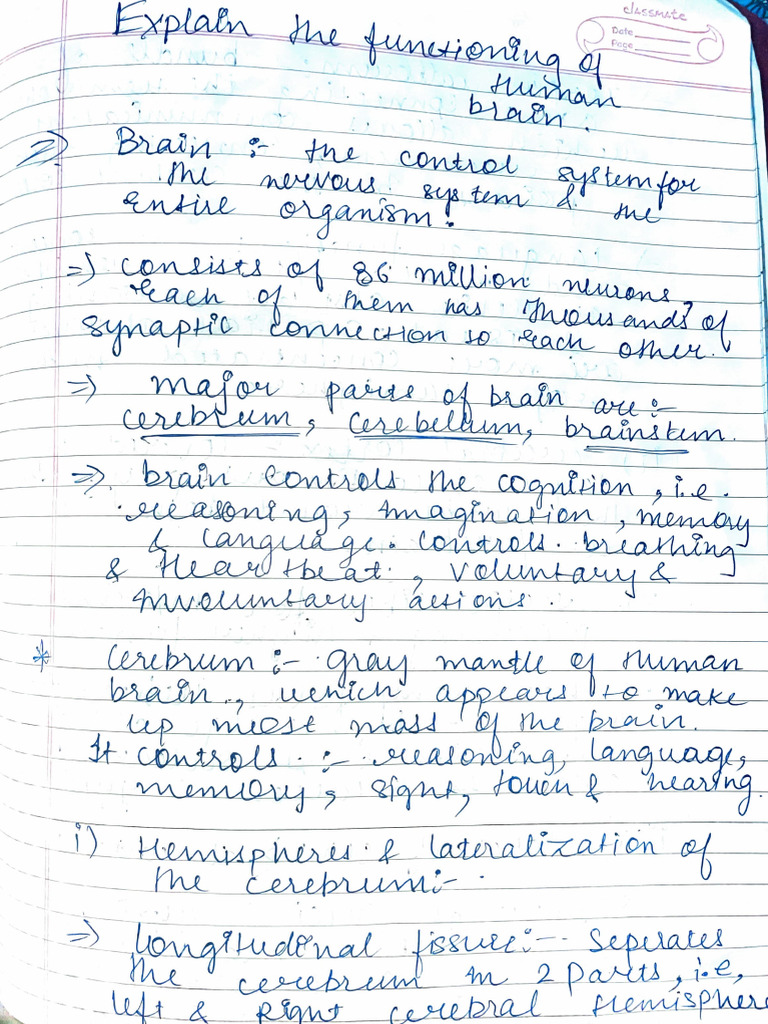BRAIN PARTS AND FUNCTIONS PSYCHOLOGY PDF visual data 8
