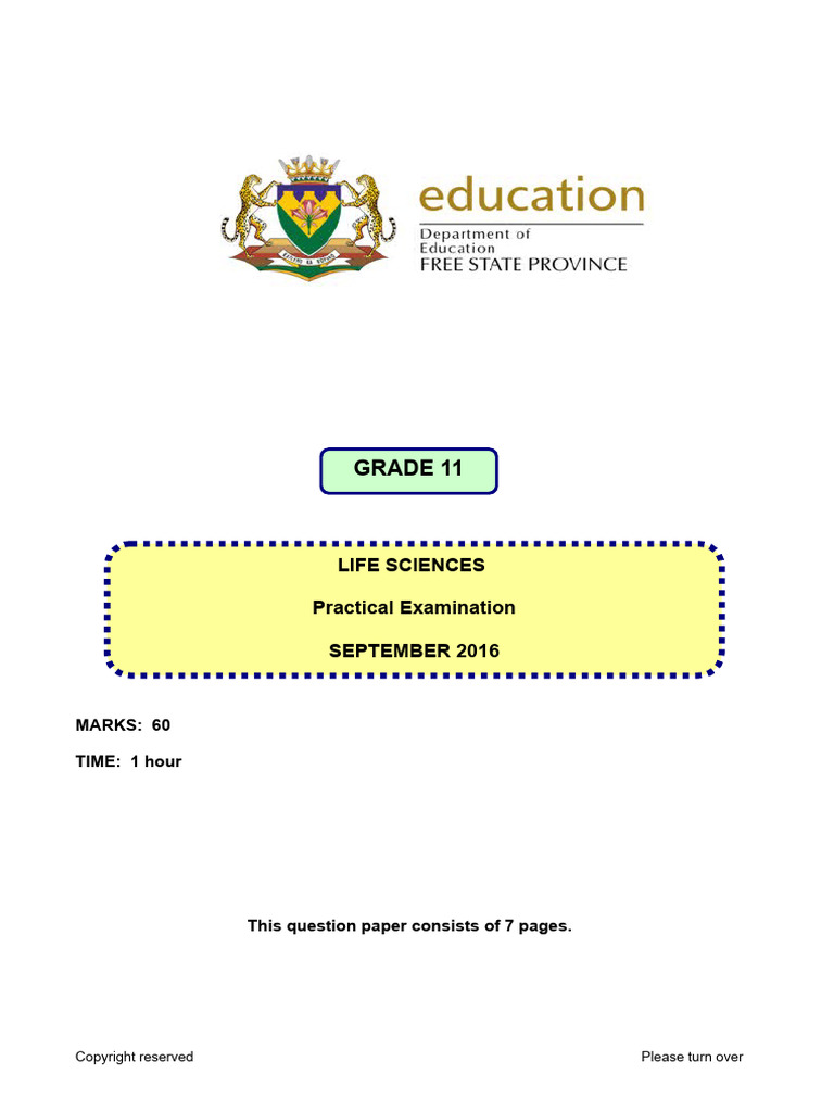 Prac Exam Gr 11 2016 Eng Pdf Foods Breathing