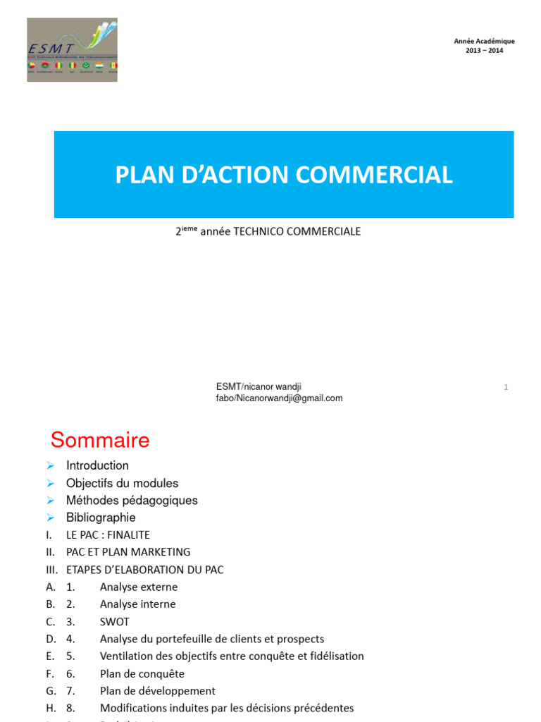 Élaboration d'un Plan d'Action Commercial | PDF | Commercialisation ...