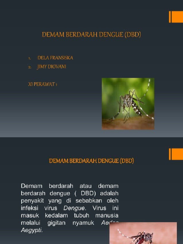 Power Point Demam Berdarah Dengue Dbd 20240526 084805 Pdf