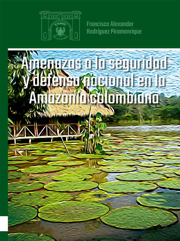 Amenazas A La Seguridad y Defensa Nacional en La Amazonía Colombiana ...