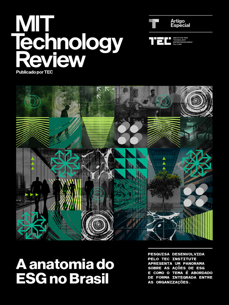 Percepção das Práticas ESG no Brasil | PDF | Sustentabilidade | Governança