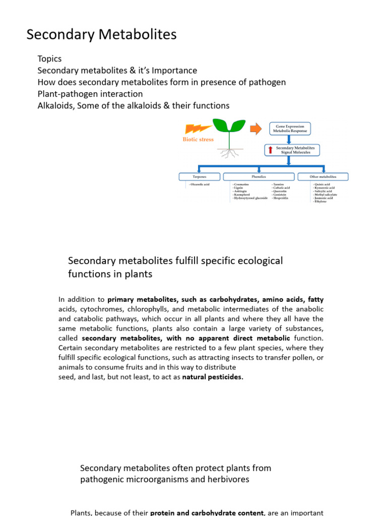 Plant Biotech - Secondary Metabolites | PDF | Alkaloid | Infection