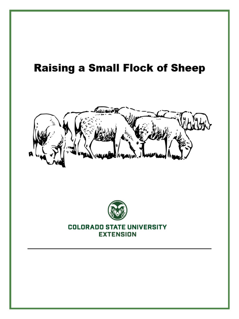 Sheep intelligence overview