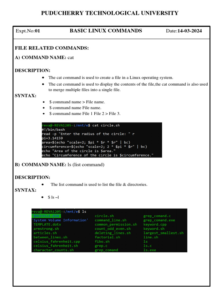 Basic Linux Shell Script Commands | PDF | Filename | Computer File