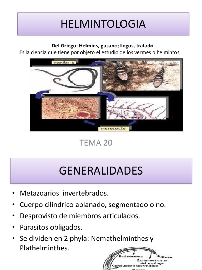 HELMINTOLOGIA Nematodo Protostomas