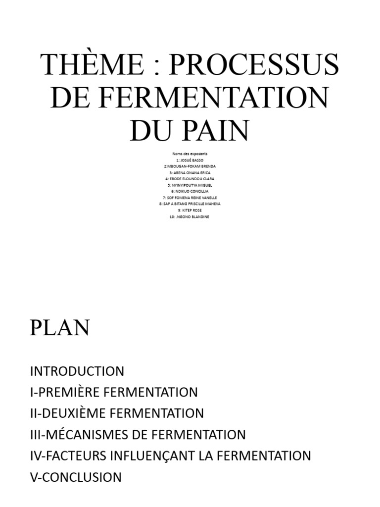 Thème - Process-Wps Office | PDF | Fermentation | Pains