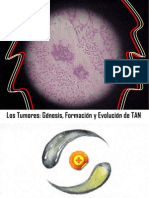 Los Tumores: Génesis, Formación y Evolución Detan