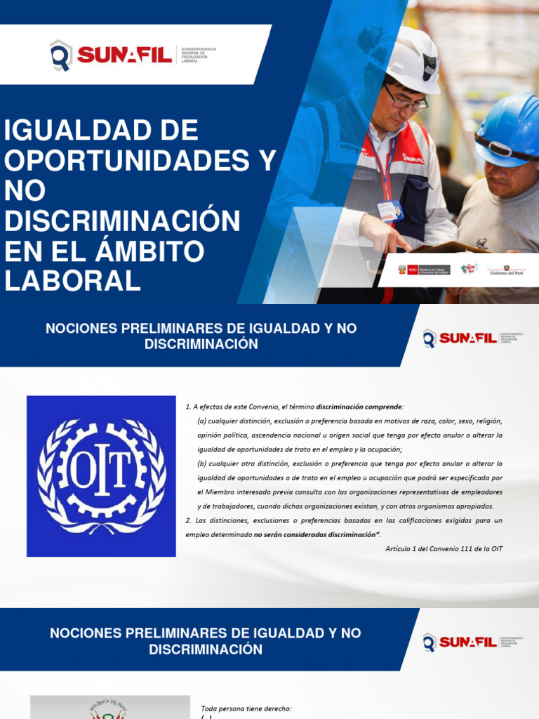 Igualdad de Oportunidades y No Discriminación | PDF | Derecho laboral ...