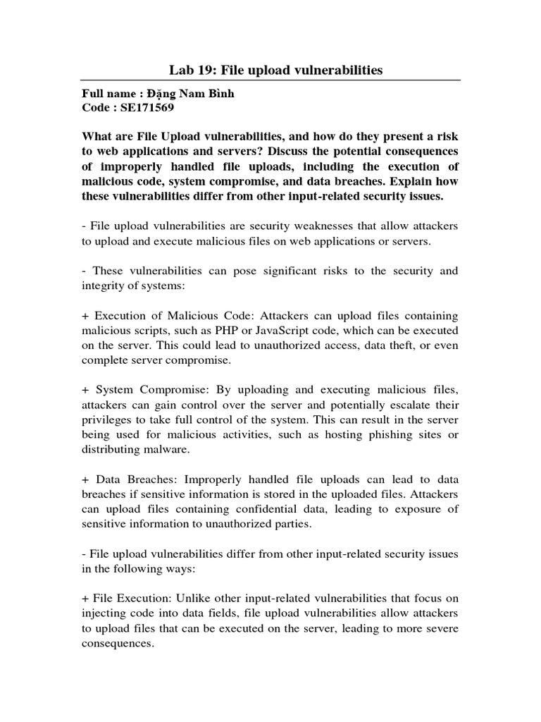 Understanding File Upload Vulnerabilities | PDF | Malware | World Wide Web