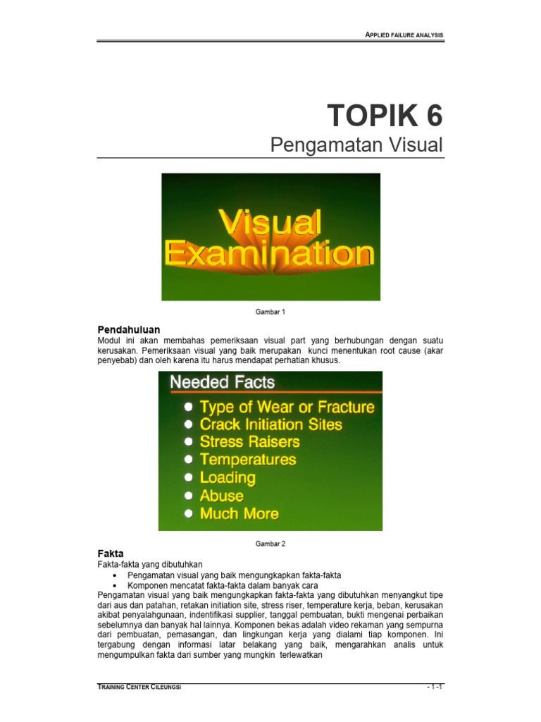 Topic6. Pengamatan Visual | PDF