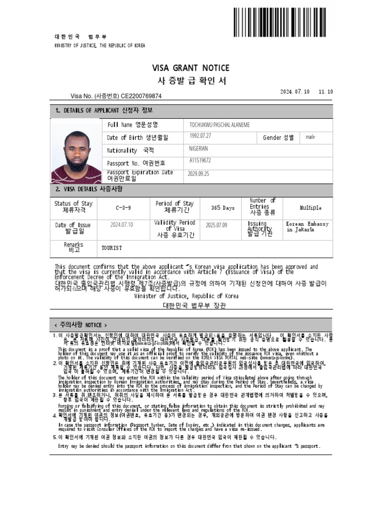 E Visa | PDF