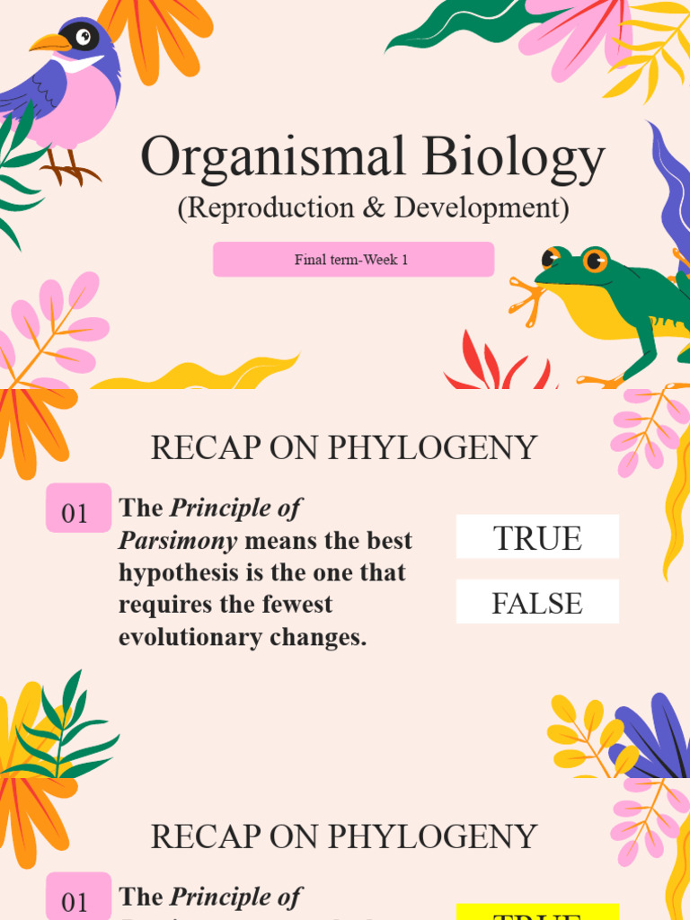 Uedkmqdzu WEEK+1 Plant+and+Animal+Reproduction+and+Development | PDF ...