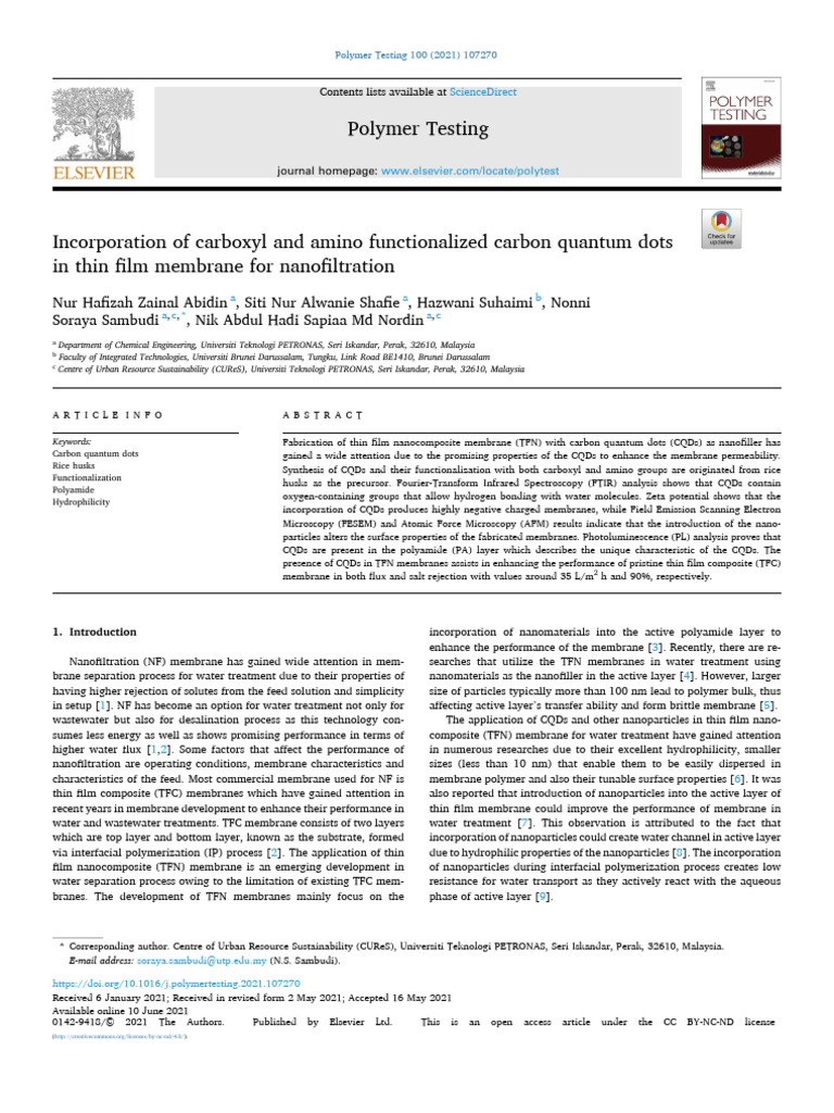Abidin - Incorporation of Carboxyl and Amino Functionalized Carbon ...