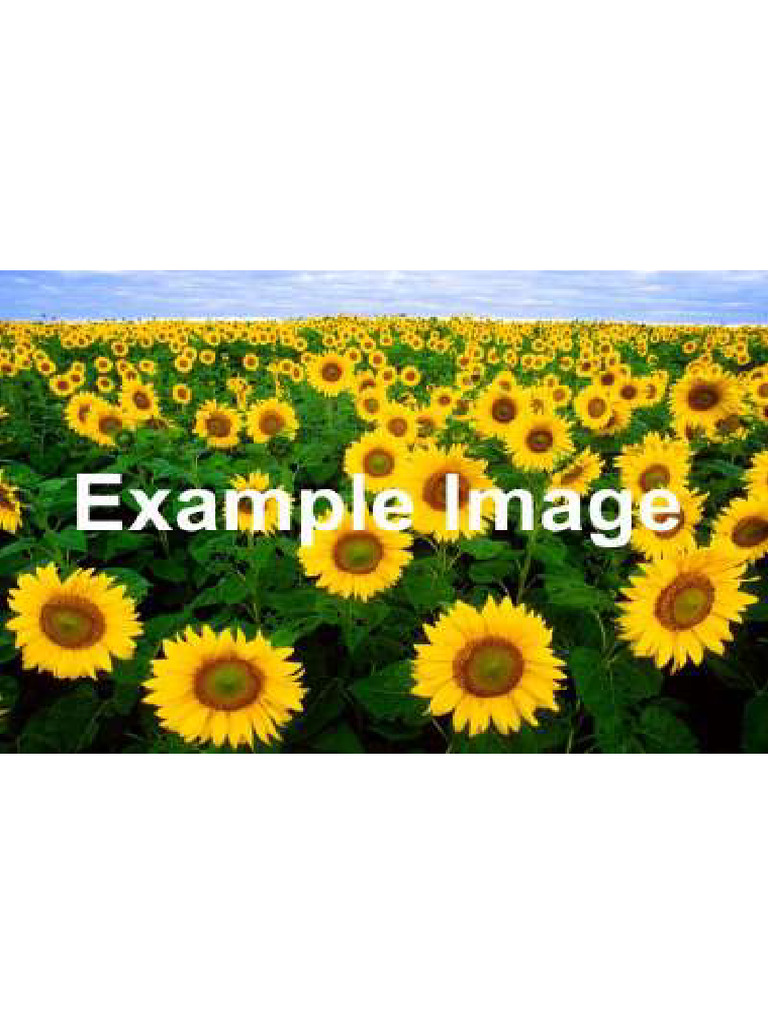 example-pdf
