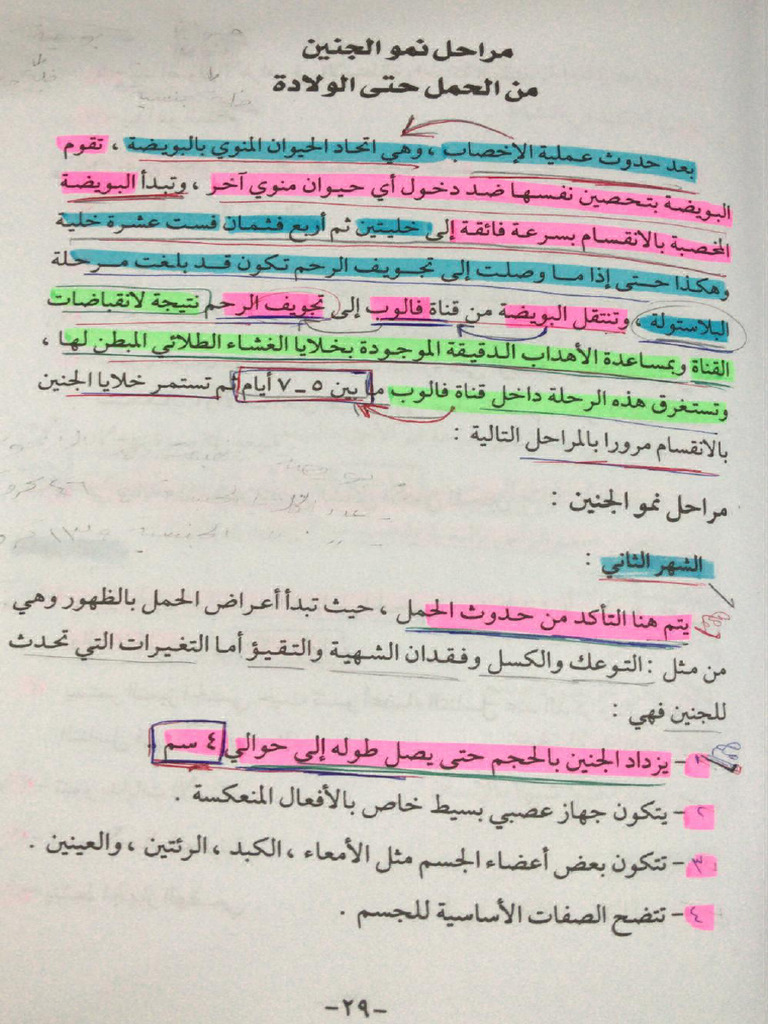 5- مراحل نمو الجنين | PDF