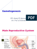 Game To Genesis I-My Lecture