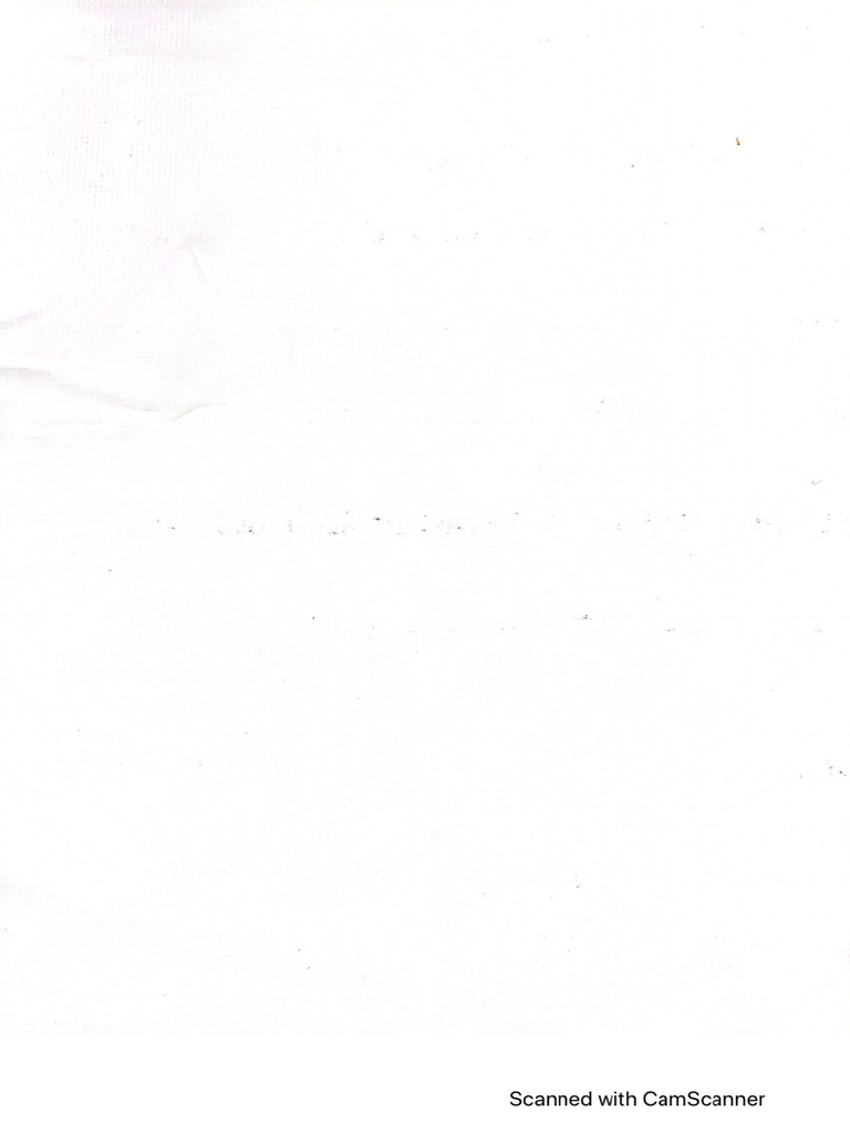 White blank page pdf