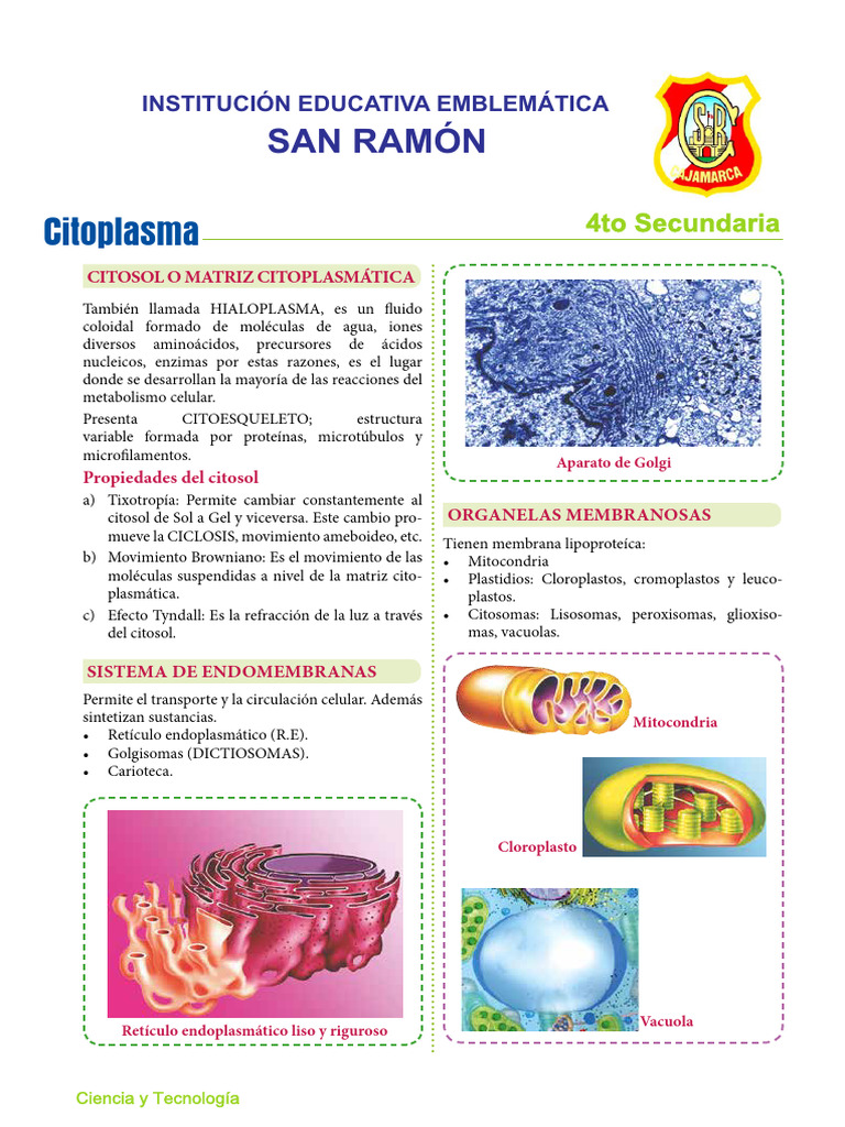 Estructura y Función de la Célula Eucariota | PDF | Citoplasma ...