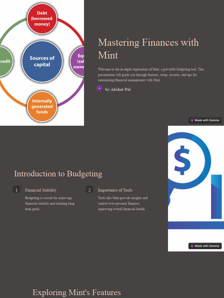 Mastering Mint for Effective Budgeting | PDF | Budget | Expense