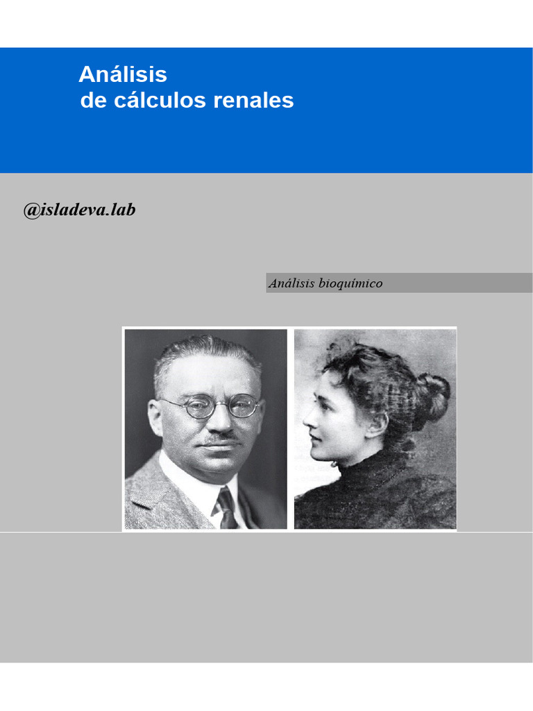 06-analisis-de-calculos-pdf-precipitaci-n-qu-mica-amon-aco