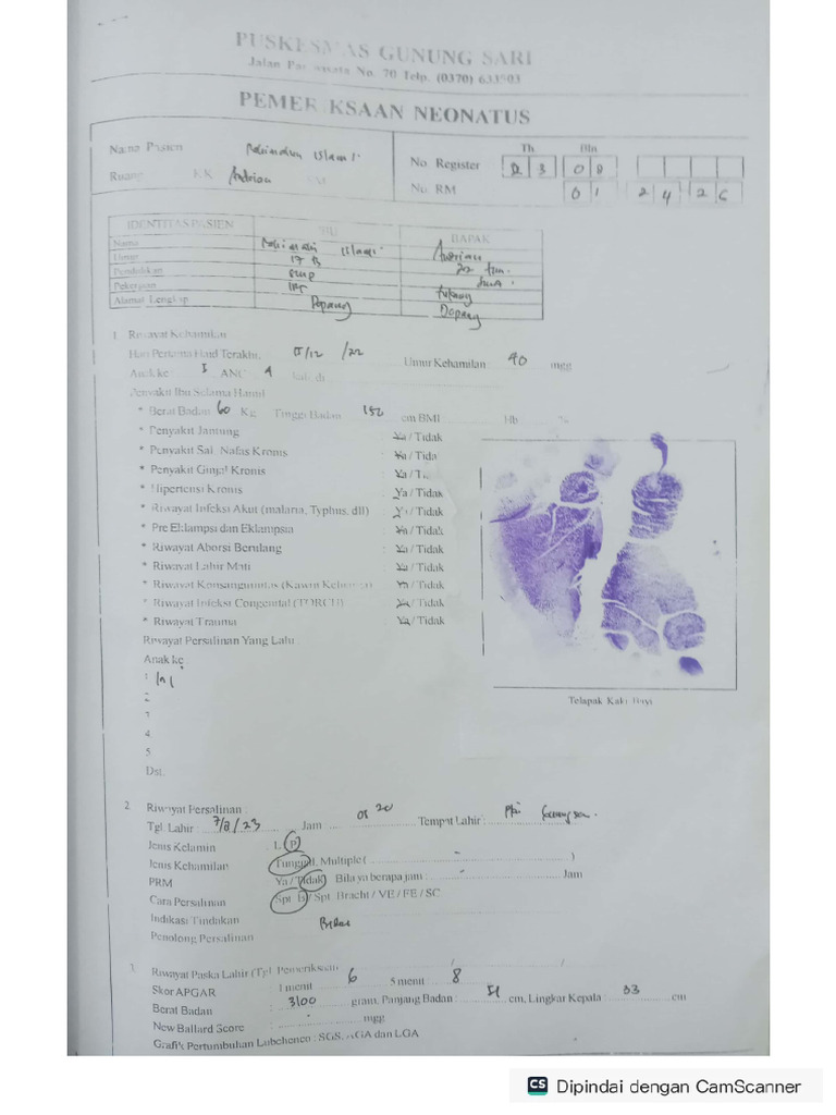 Pengkajian Bayi Baru Lahir | PDF