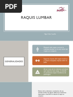 Anatomía de la Columna Sacra y Lumbar | PDF | La columna vertebral ...