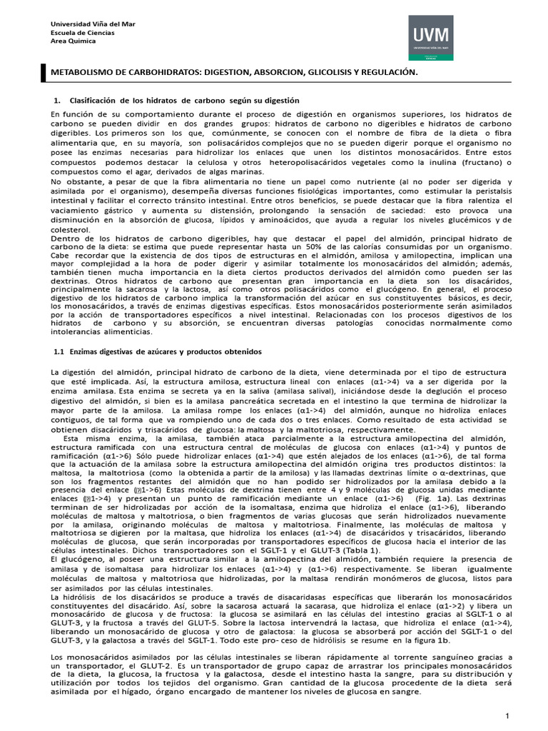 Lectura Previa Metabolismo de Carbohidratos Digestion, Absorcion ...