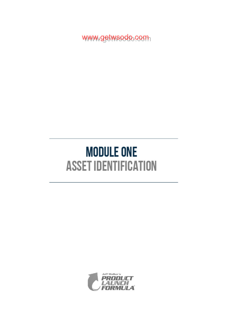 Asset Identification for Business Success | PDF | Blog | Social Media